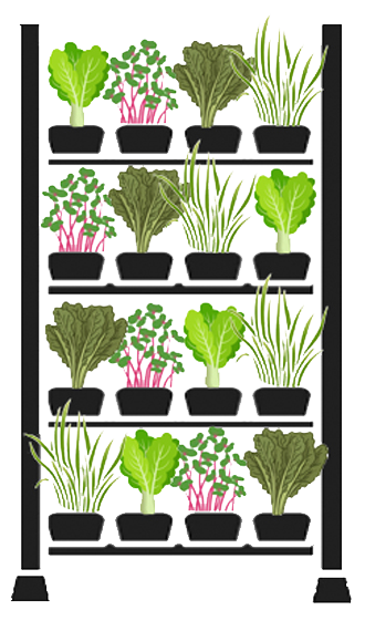 Indoor Vegetable Grow Rack